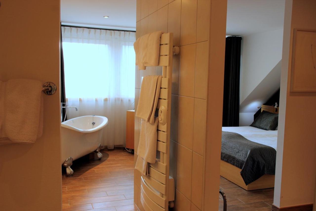 ART Hôtel Kaysersberg-Vignoble Ngoại thất bức ảnh